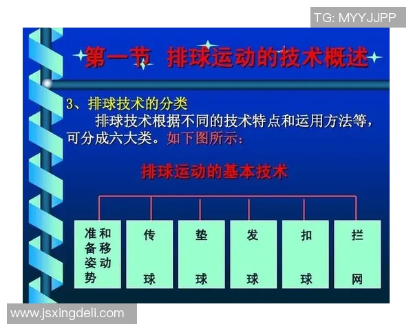 北京排球队的速度革命引发热议全新战术与训练方法的探索与实践 北京排球队的速度革命引发热议全新战术与训练方法的探索与实践
